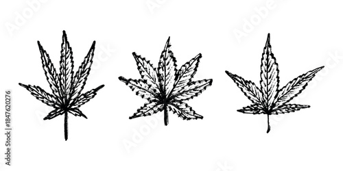 Set of hand drawn cannabis leaf Medicine marijuana Hemp leaves clipart in doodle style Single element for print, web, design, decor