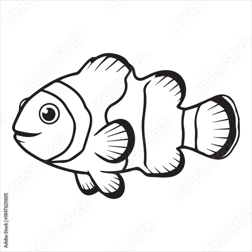 vector illustration of clown fish
