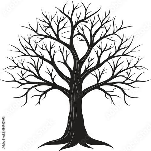 Black bare tree silhouette illustration with leafless branches