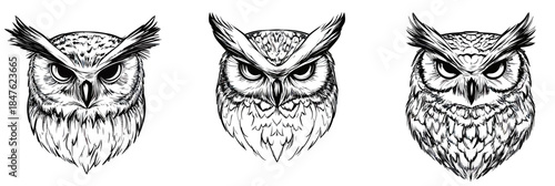 Detailed black and white hand drawn owl heads set with fierce expressions, sketch style wild forest bird portraits, educational animal illustration collection