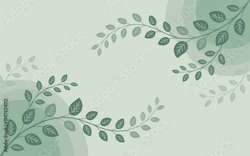 Illustration of delicate leaves and branches on a soft green background