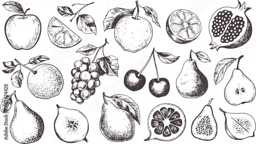 Black and white hand drawn assortment of whole and sliced fruits