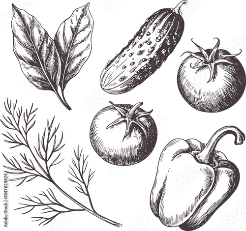 Detailed black and white botanical of vegetables and herbs