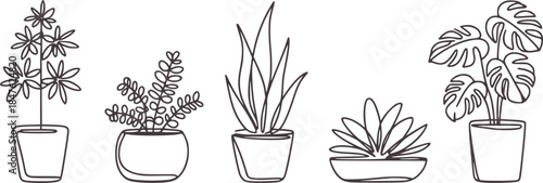 Minimalist black and white line of five potted plants