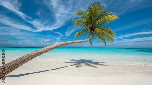 Fototapeta Naklejka Na Ścianę i Meble -  Sunny tropical beach with palm tree and clear shallow water