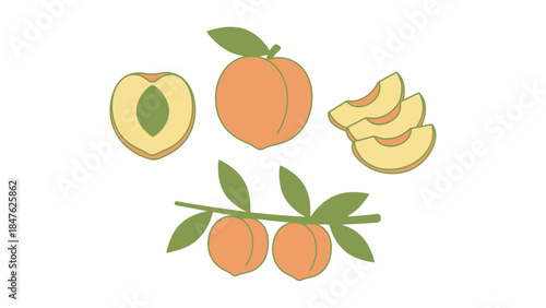 Vibrant peaches and slices with green leaves on branch