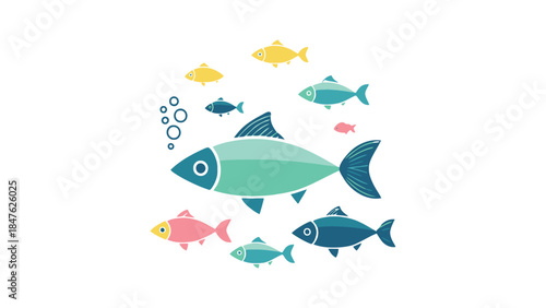 Colorful school of fish swimming together underwater