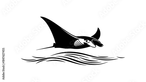 Isolated blue and white vector illustration of a wild shark predator and sea fish swimming underwater in the ocean nature art style