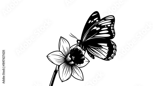 A colorful swallowtail butterfly with beautiful wings is isolated on a white background, highlighting its natural beauty as a macro insect illustration for summer garden design