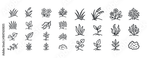 Collection of hand-drawn plant doodles in black and white