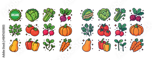Colorful organic vegetables collection: carrots, pumpkins, tomat