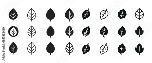 Set of 25 diverse black leaf icons in various artistic styles on