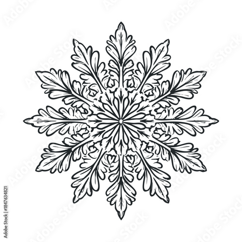 Symmetrical black and white botanical ornament with intricate handdrawn leaf patterns arranged in a circular design, perfect for sophisticated invitations, decorative prints, and luxury