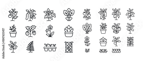 Variety of garden plant and herb line icons with pots and trelli