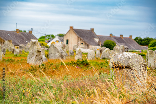 Canvastavla Carnac alignments view in France