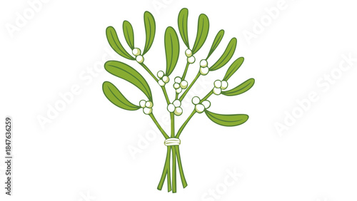 Festive mistletoe bouquet with green leaves and white berries