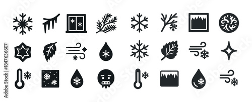 Winter weather icons: snowflakes, temperature, wind, icicles, le