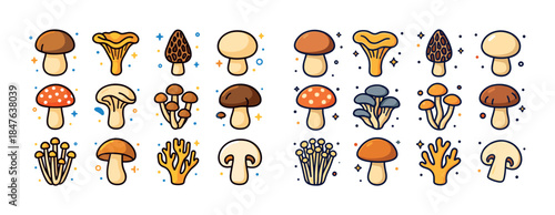 Colorful cartoon mushrooms collection: various species and uniqu