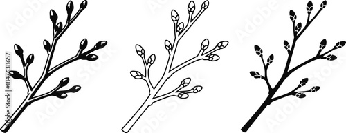 Three branches with buds in different styles and colors