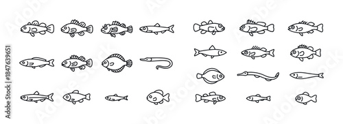 Black and white fish line art collection featuring diverse speci