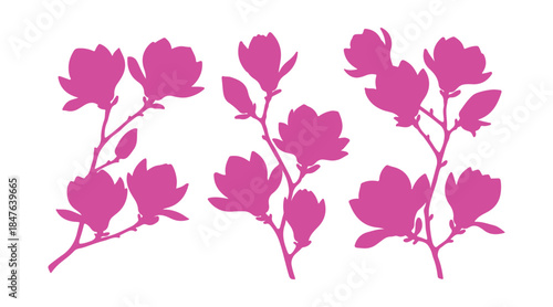 Magnolia petals. Group of magnolia branches. Vector colored silhouettes isolated on a white canvas

