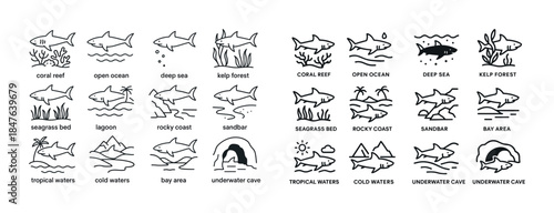 Shark icons: coral reef, deep sea, kelp forest, seagrass, tropic