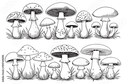 Cute Colofrul forest Mushroom Vector Set with Hand Drawn cute Fungi Cartoon Illustration