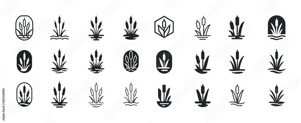 Fototapeta premium Collection of minimalist cattail icons in various shapes and sty