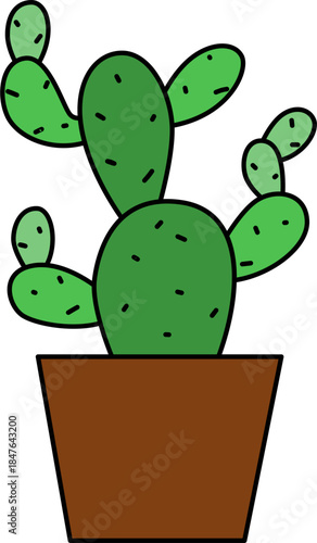 Flat vector Illustration of a foliage plant. Set of houseplants. Indoor plant in flowerpot. Decorative houseplants for interior home decoration.