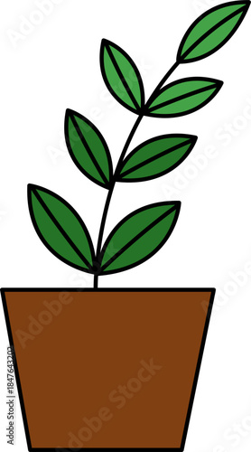 Flat vector Illustration of a foliage plant. Set of houseplants. Indoor plant in flowerpot. Decorative houseplants for interior home decoration.
