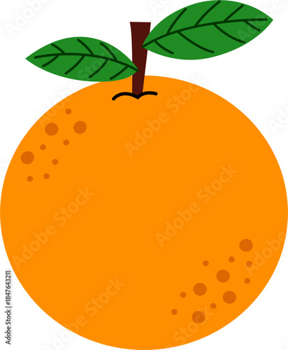 Delicious orange fruit vector design illustration. Tangerine. Organic fruit. 
