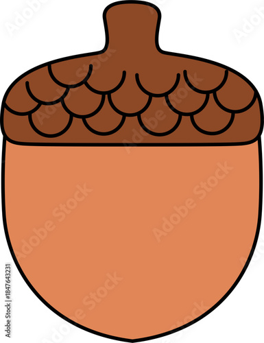 Dried fruits seeds and nuts. Crunchy fruit, dry fresh nut. Nut vector illustration. Illustration of acorn.
