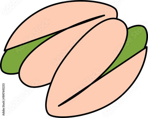 Dried fruits seeds and nuts. Crunchy fruit, dry fresh nut. Nut vector illustration. Illustration of pistachio.