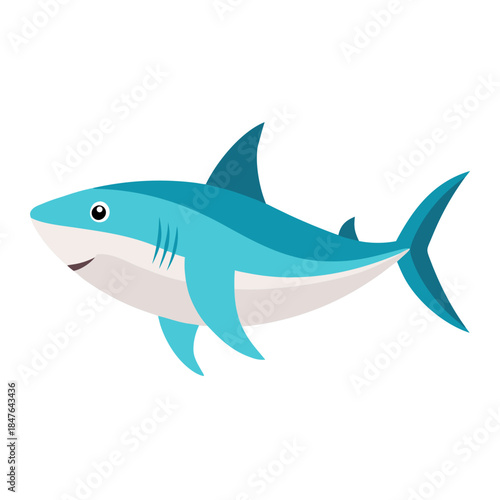 shark isolated on white background