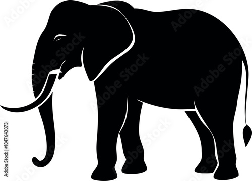 elephant vector illustration