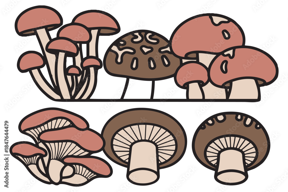 Fototapeta premium Cute Forest Fungi Vector Set with Colorful Hand Drawn mushroom Illustration