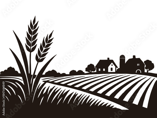 Stalks of wheat overlooking vast cultivated farm field rows
