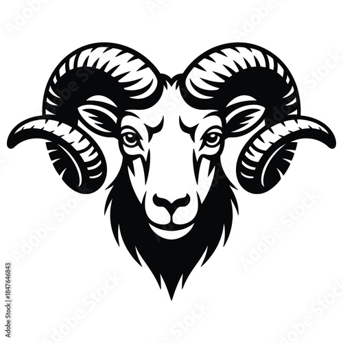 head of a ram