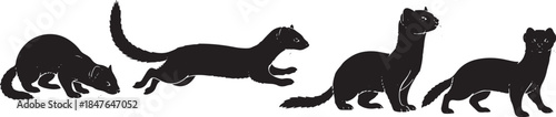 Black Silhouettes of Weasels and Ferrets in Motion