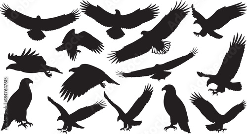 Collection of Eagle Silhouettes in Flight and Perched Poses