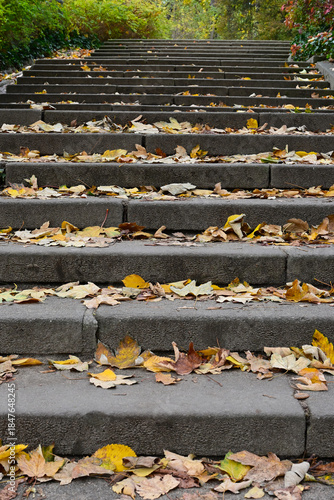 Park stairs covered with autumn leaves. Natural background