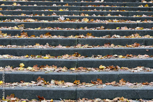 Park stairs covered with autumn leaves. Natural background