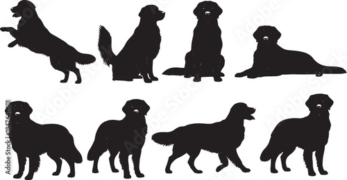 Golden Retriever Dog Silhouettes in Various Poses on White Background
