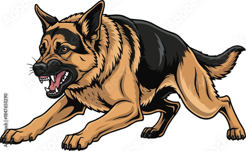 King Shepherd dog alert aggressive attacking stance