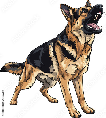 King Shepherd dog standing barking alert warning stance