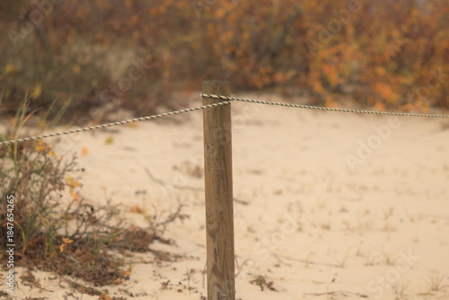 A wooden peg with colored ropes tied to it.