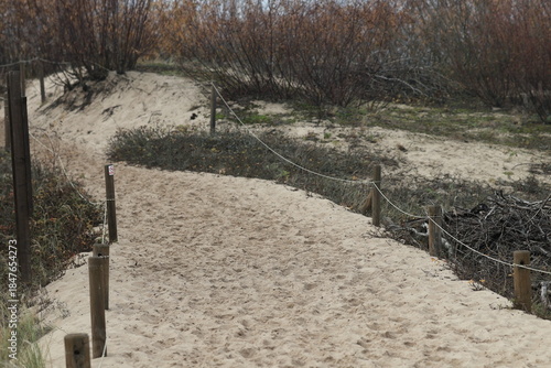 Sandy path with wooden pegs on the sides.