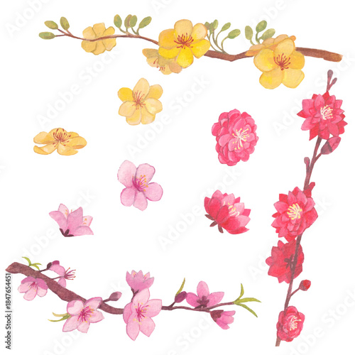 A delicate watercolor illustration of traditional Vietnamese Tết flowers, including peach blossoms and yellow apricot blooms, arranged as branches and loose florals symbolizing spring, renewal, and go