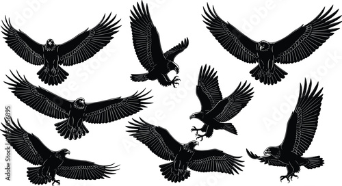 Black silhouettes of majestic eagles and hawks in various flying poses, hunting, and soaring with spread wings, isolated on white background for nature designs.