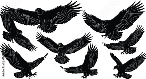 Black silhouettes of majestic eagles and hawks in various flying poses, hunting, and soaring with spread wings, isolated on white background for nature designs.
